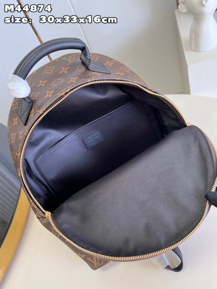 LV Backpack