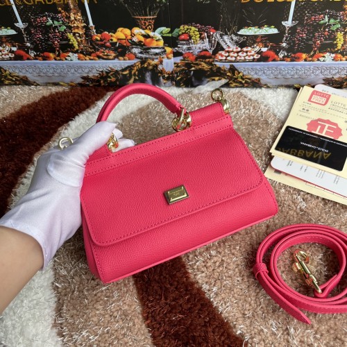 DG bag