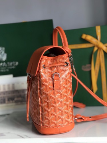 Goyard bag