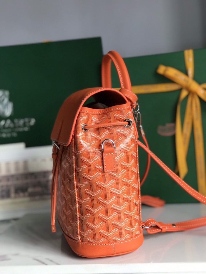 Goyard bag
