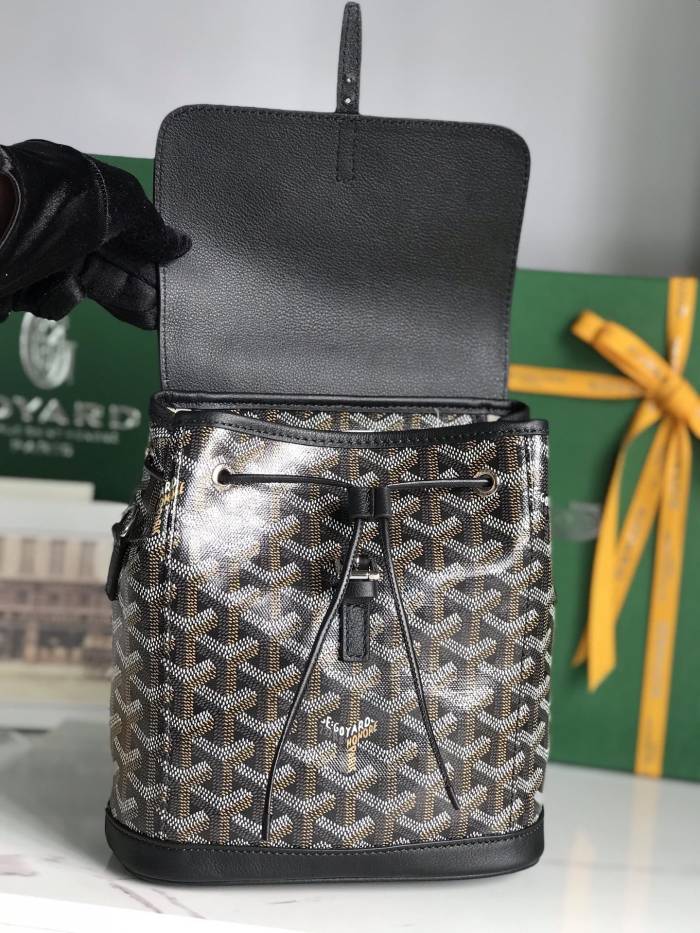 Goyard bag