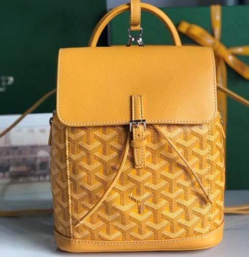 Goyard bag