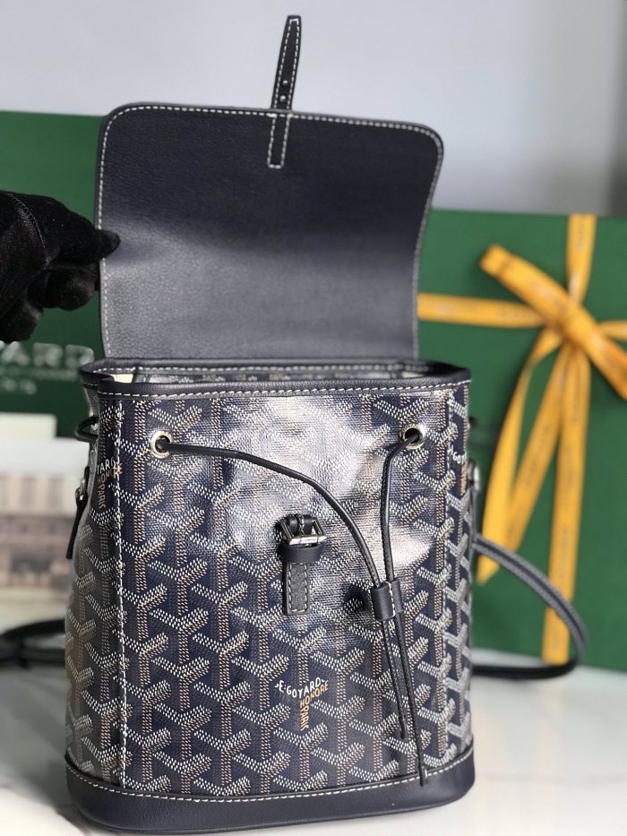 Goyard bag