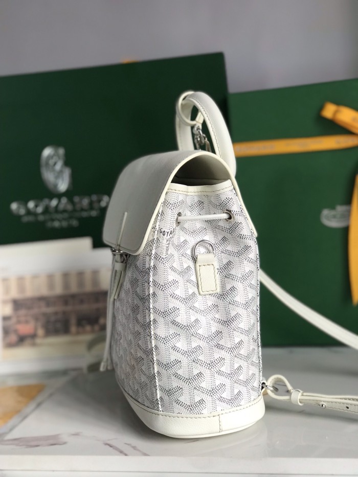 Goyard bag