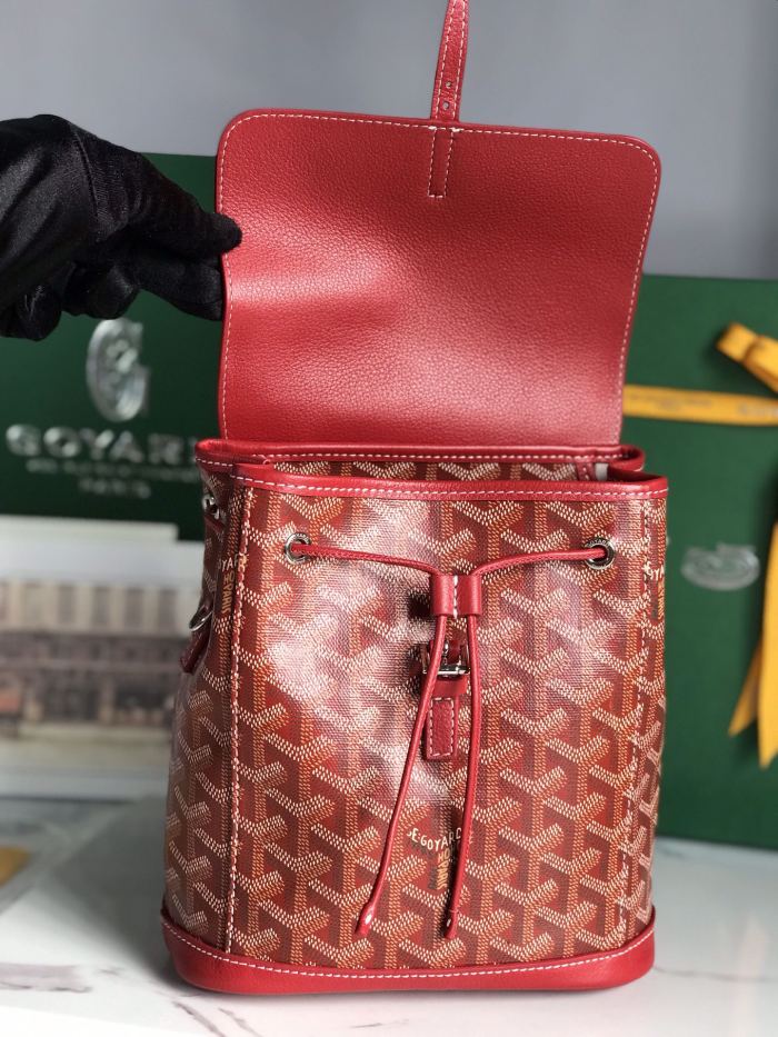 Goyard bag