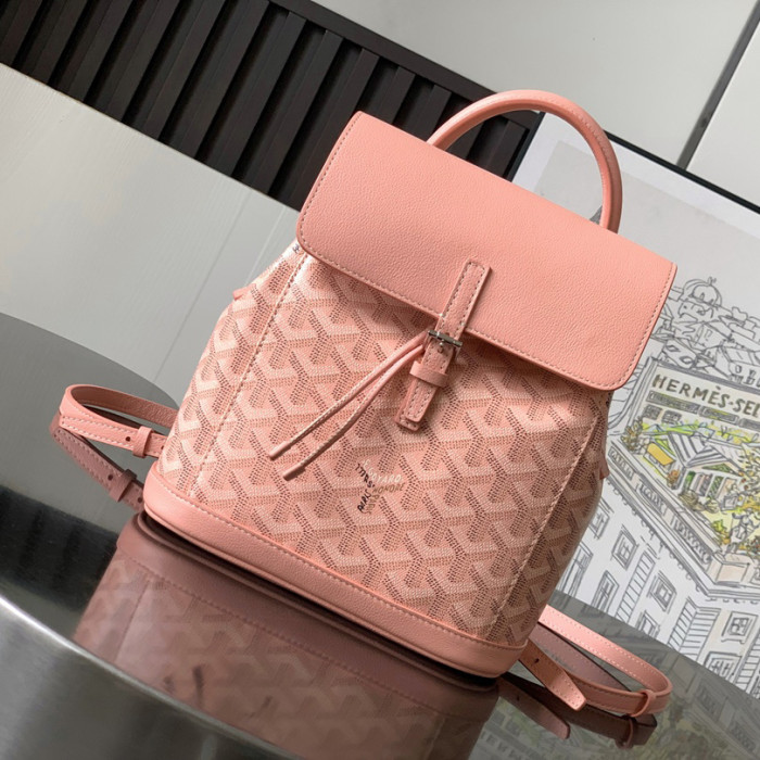 Goyard Backpack