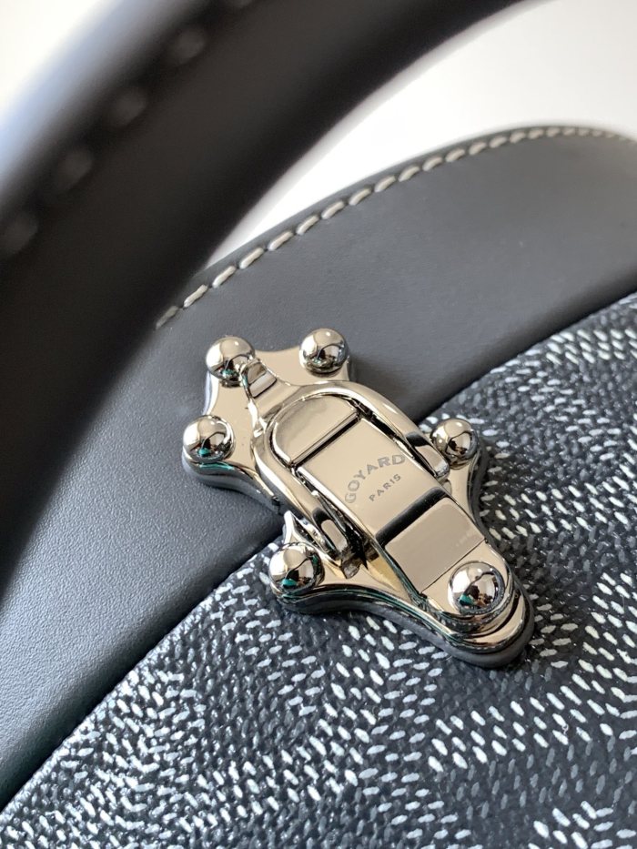 Goyard bag Alto