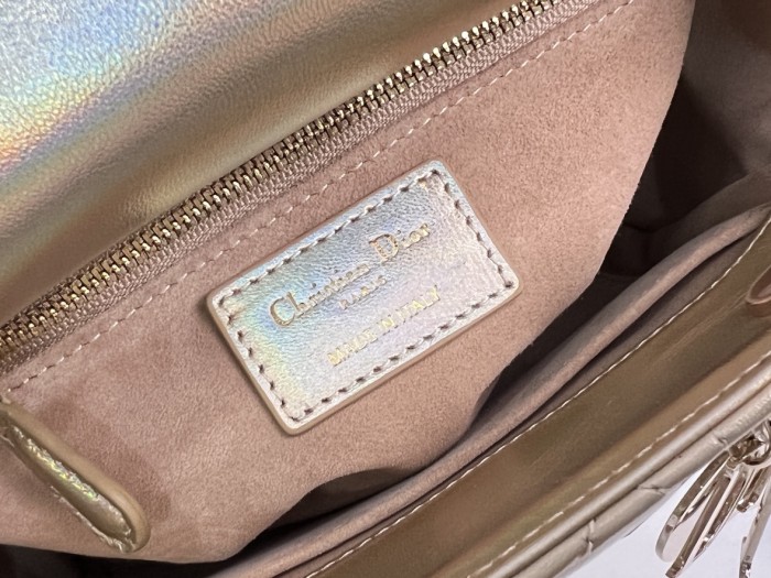 Dior bag Small 20cm