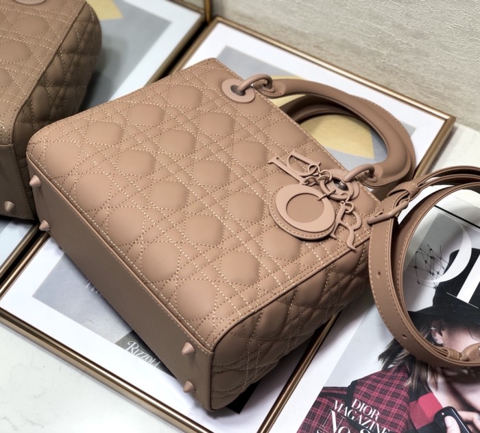 Dior bag Medium 24cm