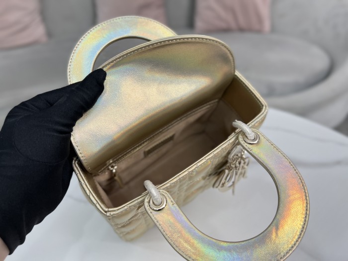 Dior bag Small 20cm