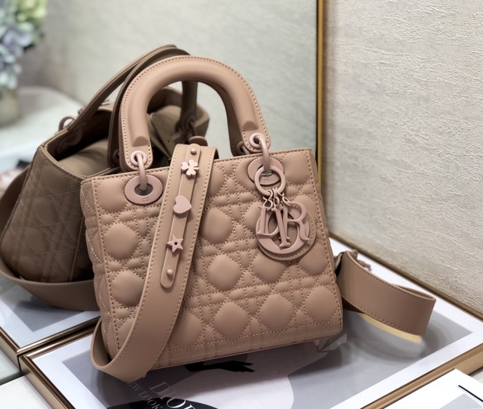 Dior bag Small 20cm