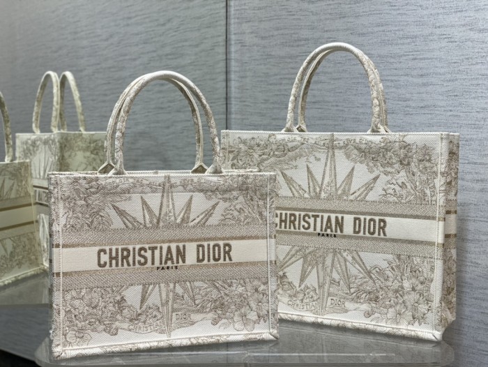 Dior Book Tote