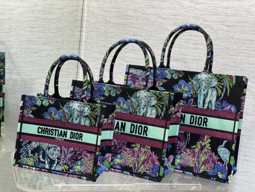 Dior Book Tote