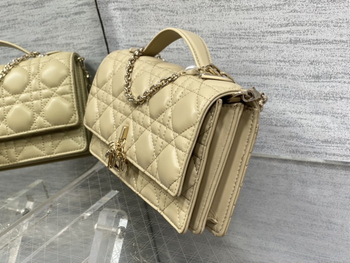 Dior Bag