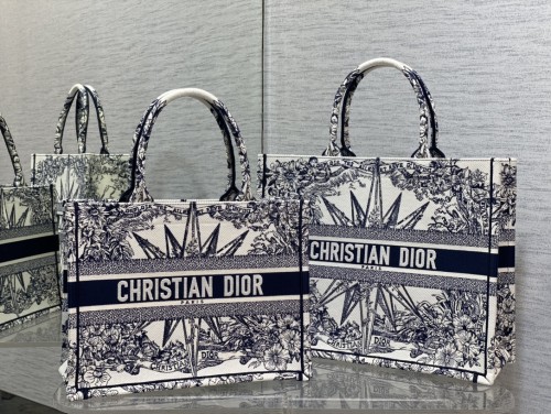 Dior Book Tote