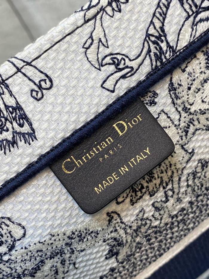 Dior Book Tote
