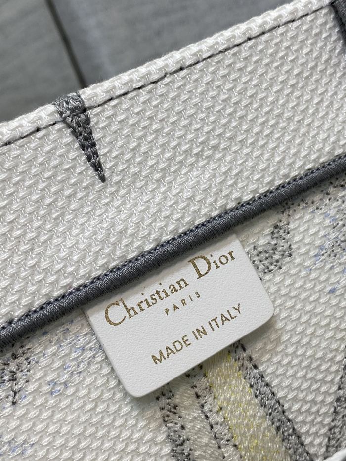 Dior Book Tote