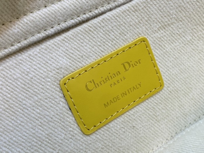 Dior bag D-joy