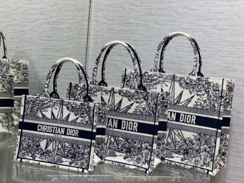 Dior Book Tote