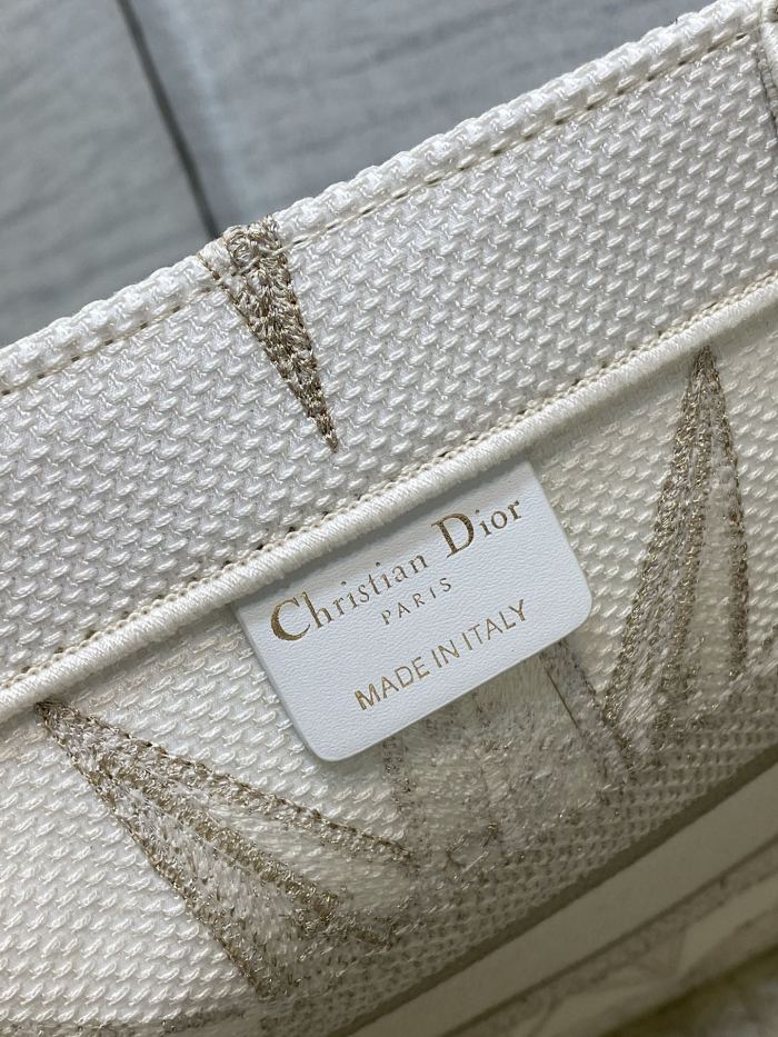 Dior Book Tote