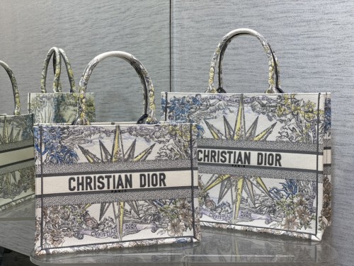 Dior Book Tote