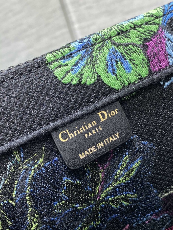 Dior Book Tote
