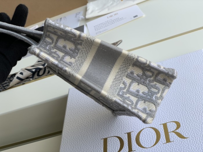 Dior Book Tote