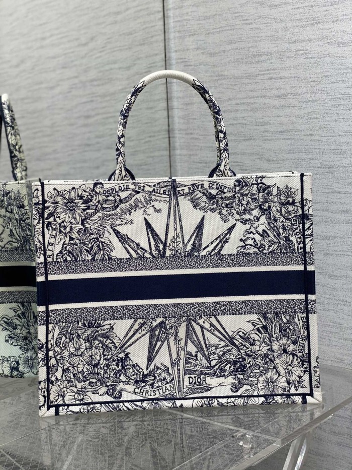 Dior Book Tote