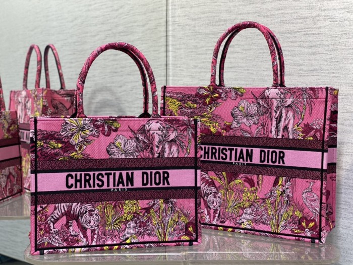 Dior Book Tote