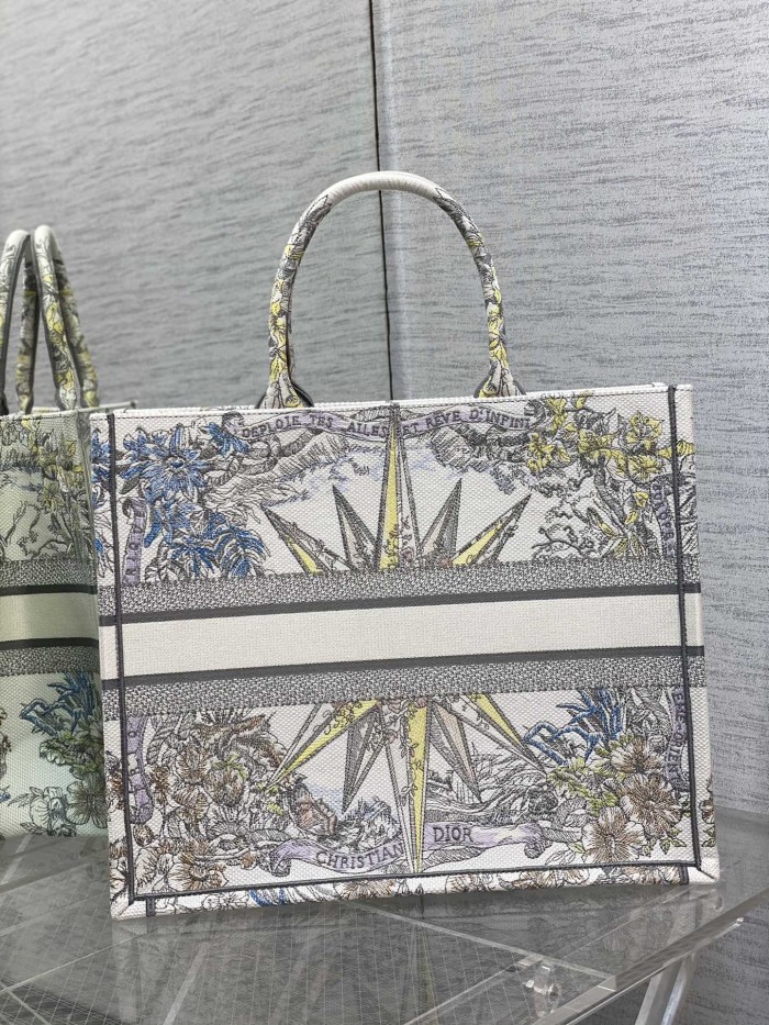 Dior Book Tote