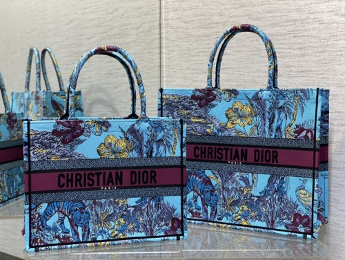 Dior Book Tote