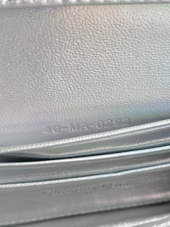  Dior bag
