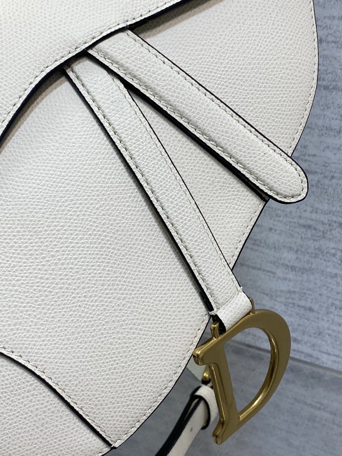 Dior Saddle Bag