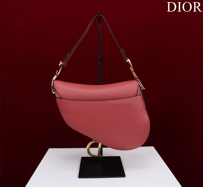 Dior Saddle Bag