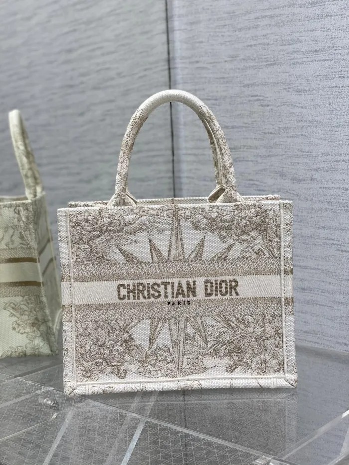 Dior Book Tote