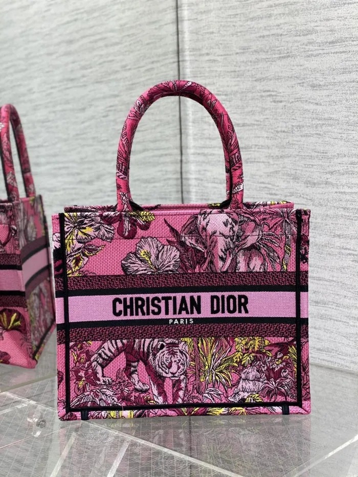 Dior Book Tote