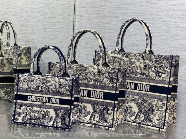 Dior Book Tote