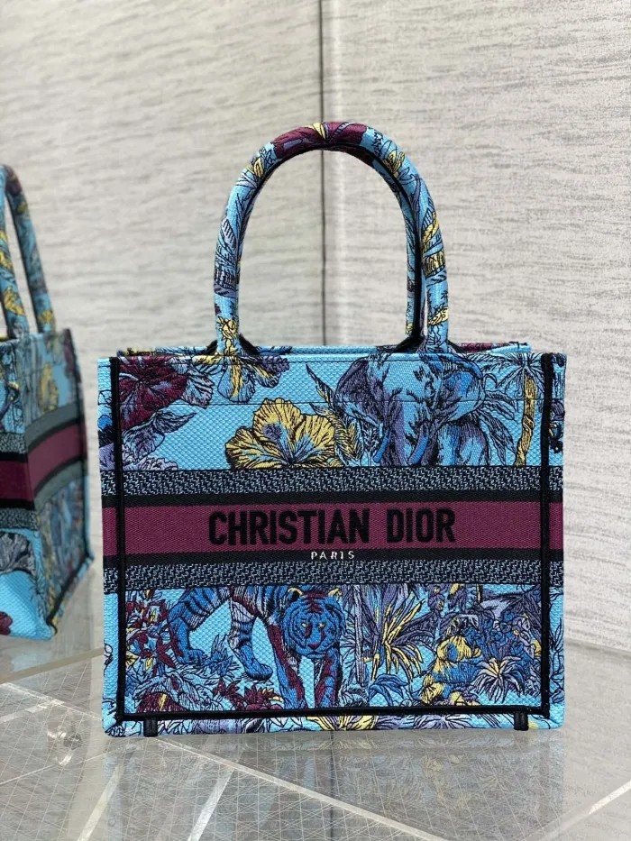 Dior Book Tote