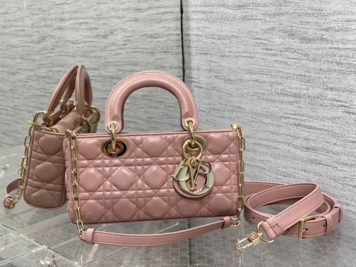 Dior bag D-joy Micro & Small