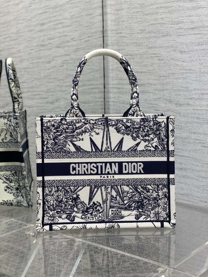 Dior Book Tote