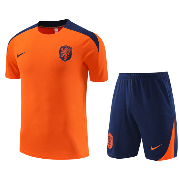 Netherlands 2024 short sleeve and shorts tracksuit orange