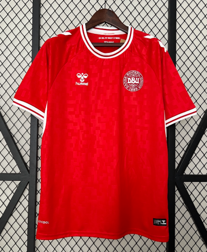 Denmark 2024 home shirt