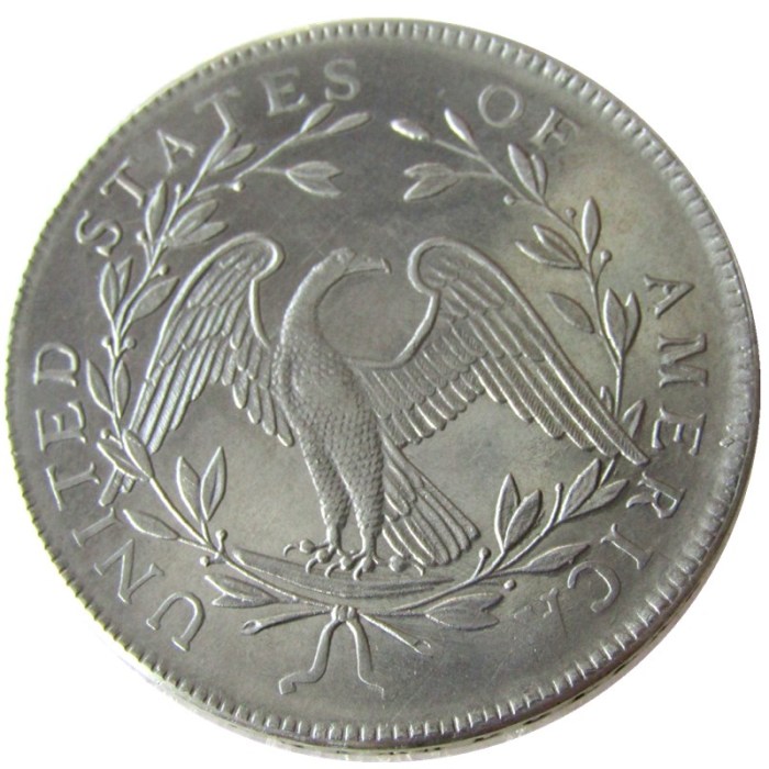 90% Silver US 1795 Flowing Hair Dollar Copy Coin