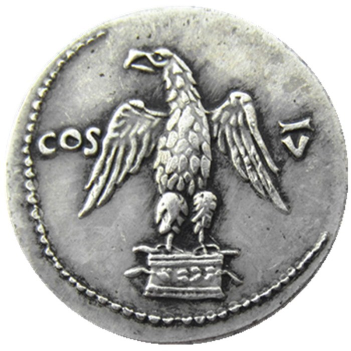 RM(31) Roman Ancient Silver Plated Copy Coins