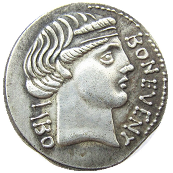 RM(08) Roman Ancient Silver Plated Copy Coins