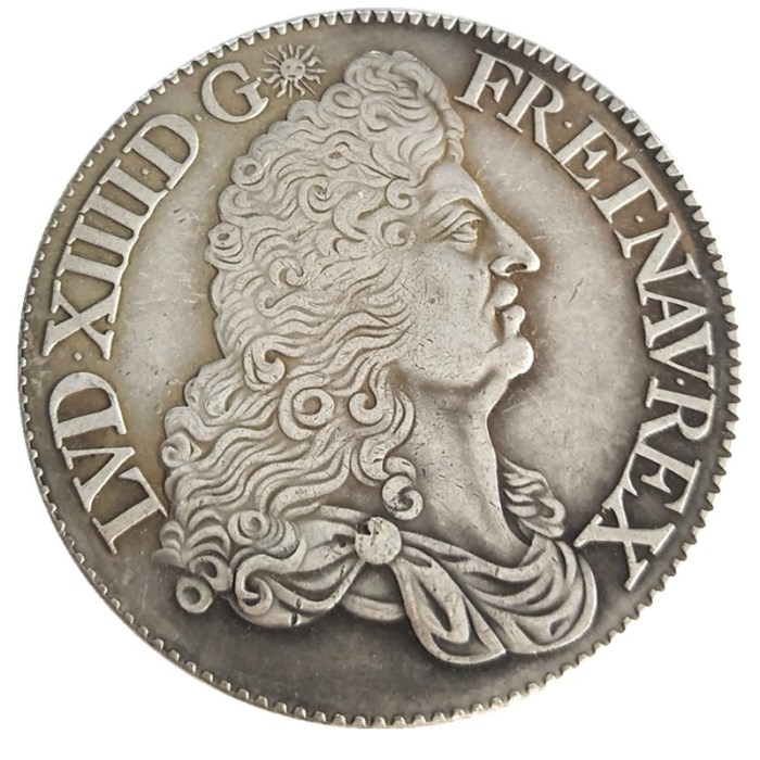 France 1 Ecu - Louis XIV 1689 Copy Coins