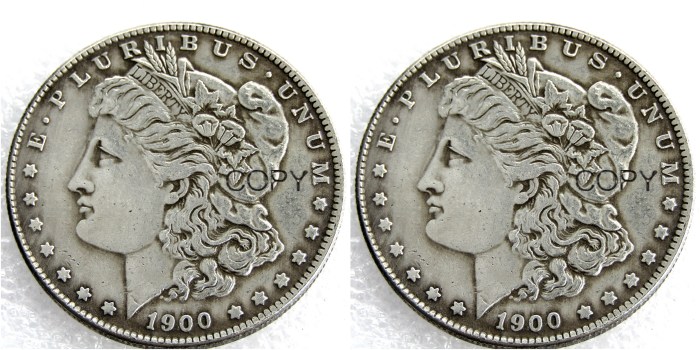 US 1900/1900 Morgan Dollar Two Faces Silver Plated Copy Coin