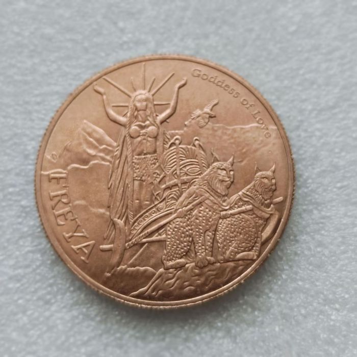 Copy Custom Coins Make Your Own Design FREYA ODIN coin