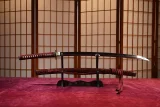 Minamoto Kiyomaro Tamahagane Katana Replica by Zsey