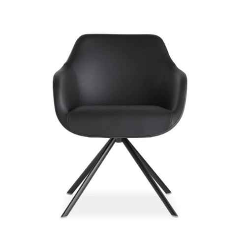 Luxurious and stylish black armchair